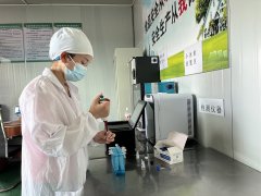 都被完整、录