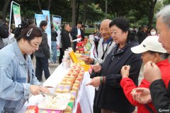  全市食物平安形势